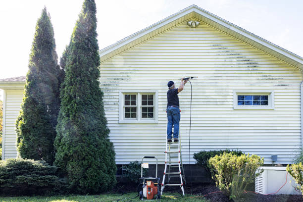 Best Fence Pressure Washing  in Waterloo, NE