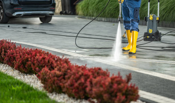 Best Exterior Home Cleaning  in Waterloo, NE