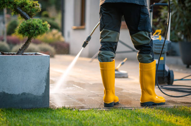 Best Sidewalk Pressure Washing  in Waterloo, NE